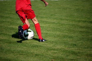 AC米兰新闻-NBA球员技术动作进阶训练，nba球员训练方式