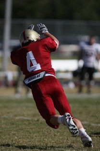 中国米兰体育-意甲球队利用人工智能辅助赛前对手情报分析，意甲单赛季助攻记录