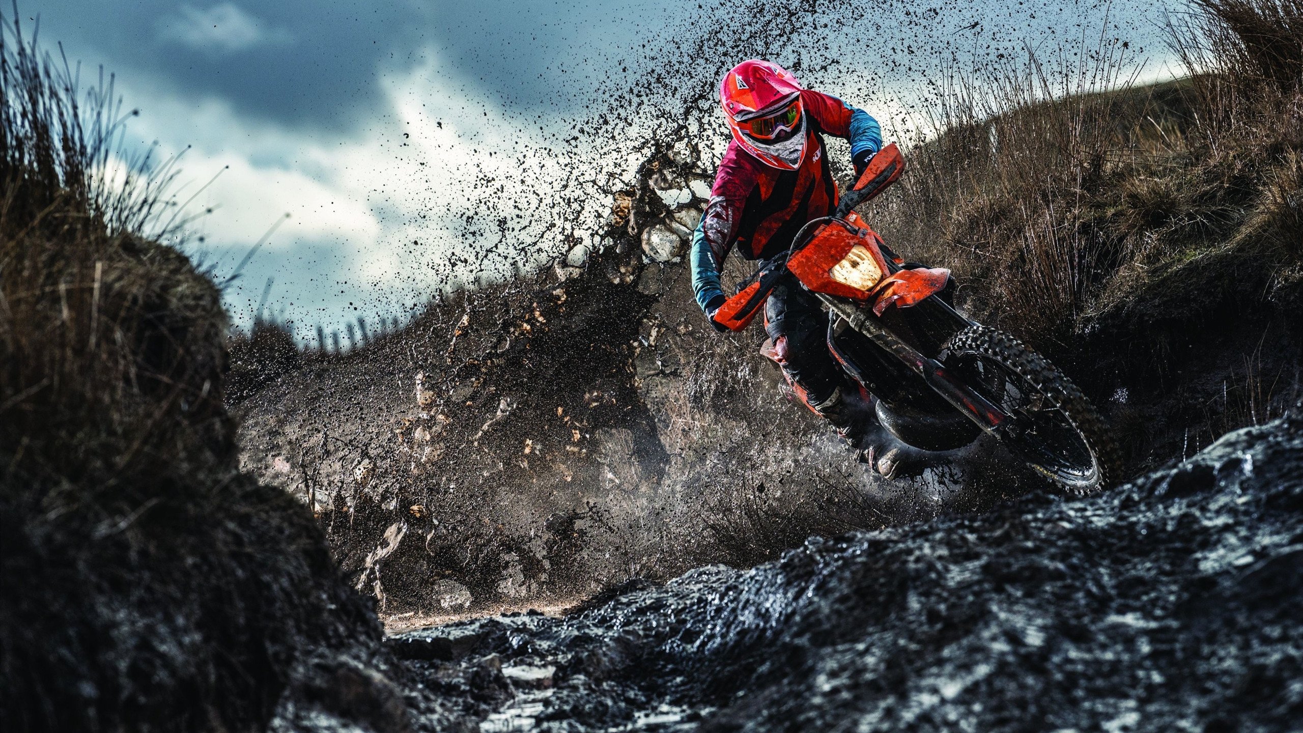 米兰体育正版平台-中美澳仰泳项目全面开战，美澳游泳